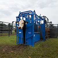 Livestock gates panels